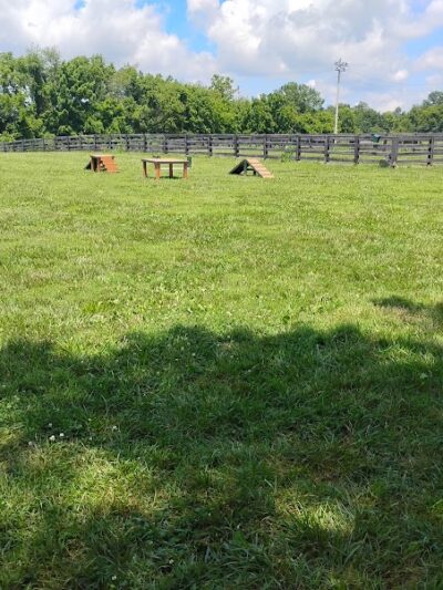 Cynthiana Dog Park - Cynthiana, KY