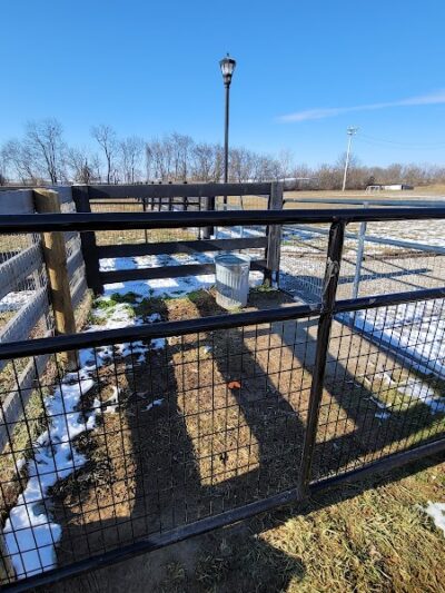 Cynthiana Dog Park - Cynthiana, KY