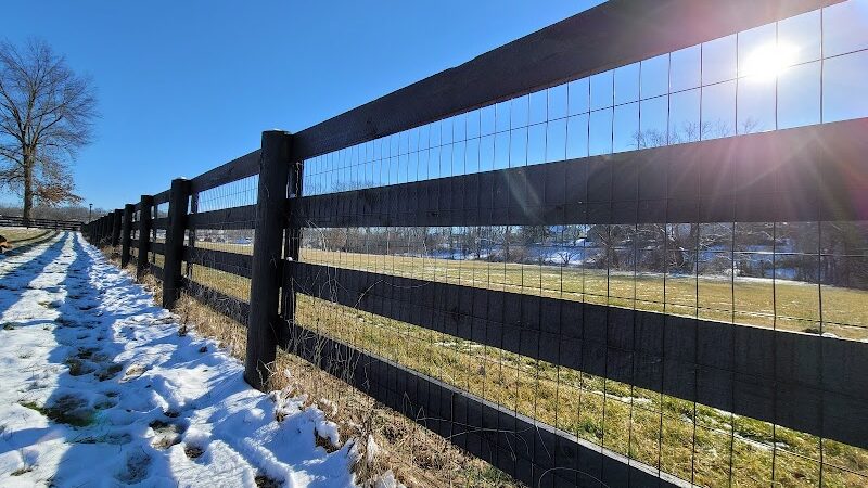 Cynthiana Dog Park - Cynthiana, KY