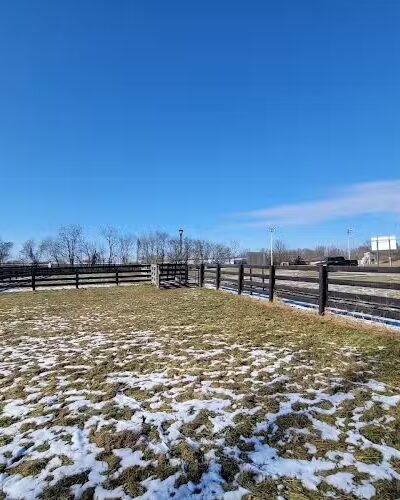 Cynthiana Dog Park - Cynthiana, KY