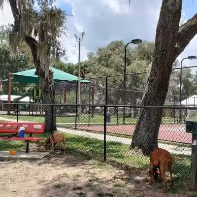 Dade City Dog Park - Dade City, FL