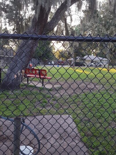 Dade City Dog Park - Dade City, FL