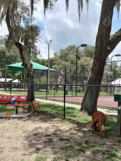 Dade City Dog Park - Dade City, FL