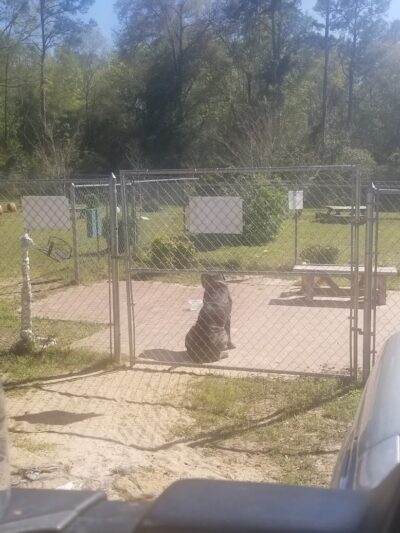 Dog Park Dale. - Daleville, AL