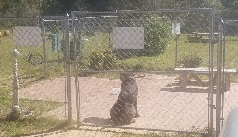 Dog Park Dale. - Daleville, AL