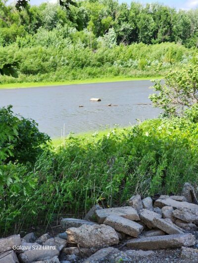 Dallas City Park - Dallas City, IL