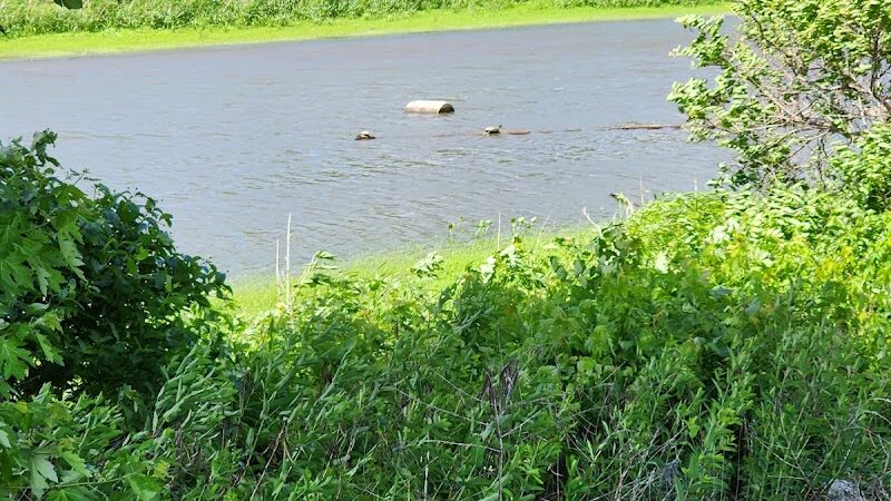 Dallas City Park - Dallas City, IL
