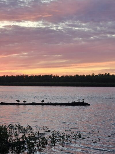 Dallas City Park - Dallas City, IL