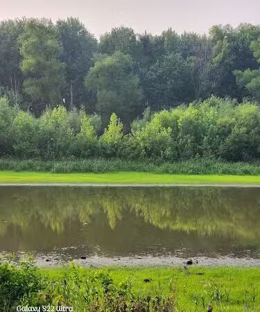 Dallas City Park - Dallas City, IL