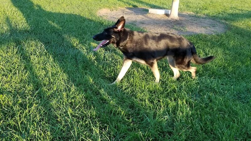 Espenscheid Park - Danville, IL