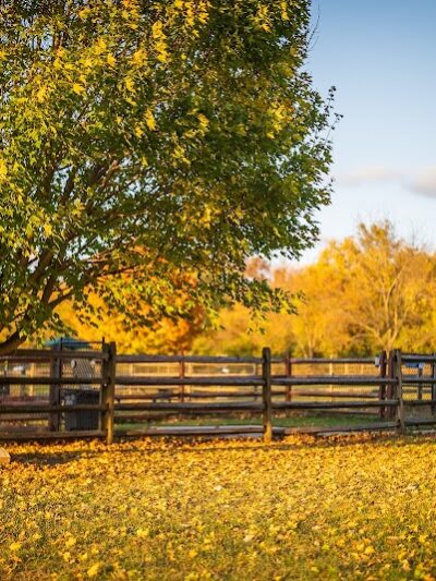 Espenscheid Park - Danville, IL
