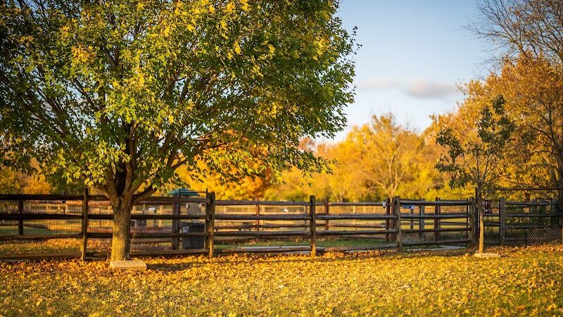 Espenscheid Park - Danville, IL
