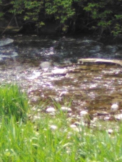 Espenscheid Park - Danville, IL