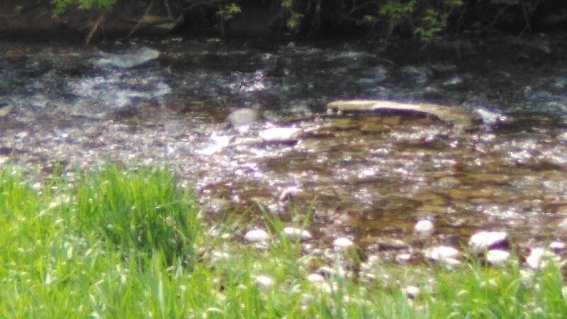 Espenscheid Park - Danville, IL