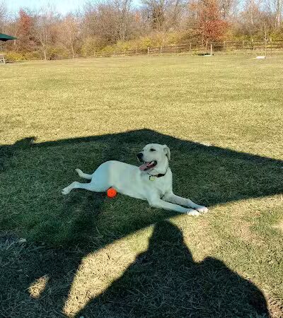 Espenscheid Park - Danville, IL