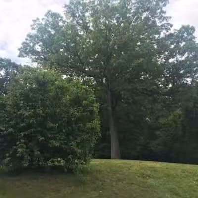 Baker Park - Darien, CT