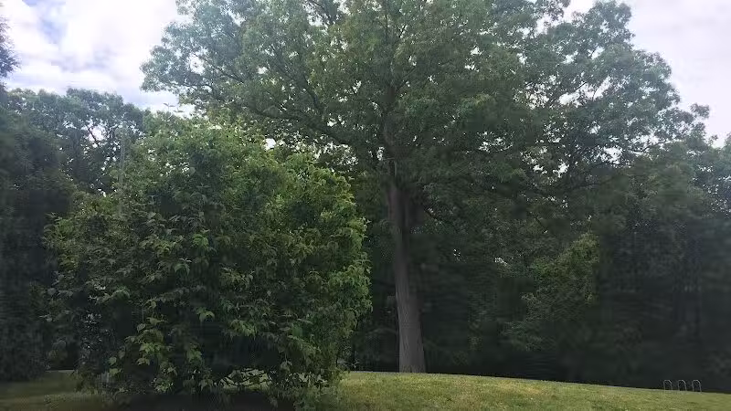 Baker Park - Darien, CT
