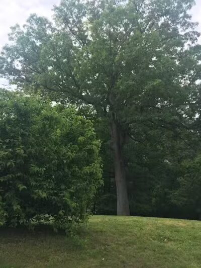 Baker Park - Darien, CT