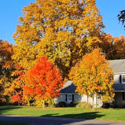 Cherry Lawn Park - Darien, CT