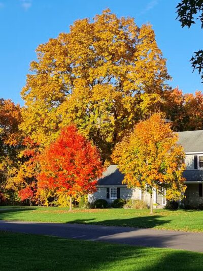 Cherry Lawn Park - Darien, CT