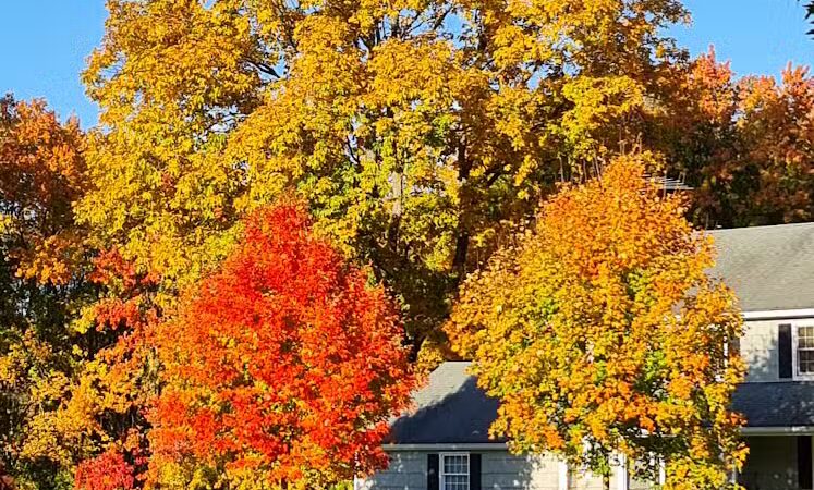 Cherry Lawn Park - Darien, CT