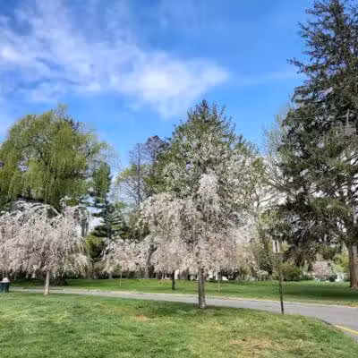 Cherry Lawn Park - Darien, CT