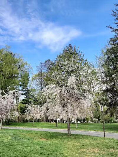 Cherry Lawn Park - Darien, CT