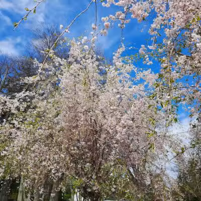 Cherry Lawn Park - Darien, CT