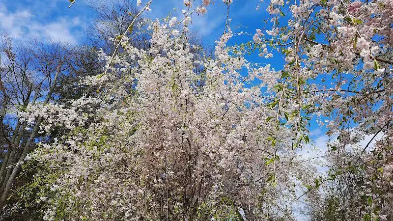 Cherry Lawn Park - Darien, CT