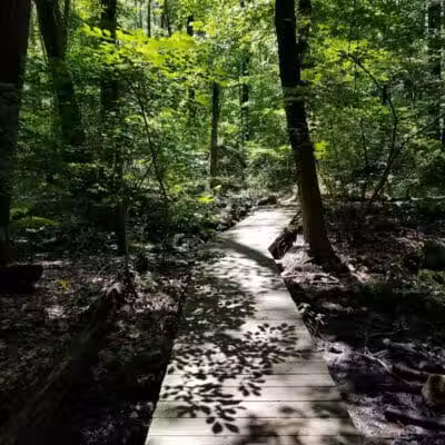 Cherry Lawn Park - Darien, CT