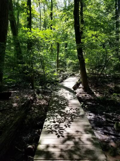 Cherry Lawn Park - Darien, CT