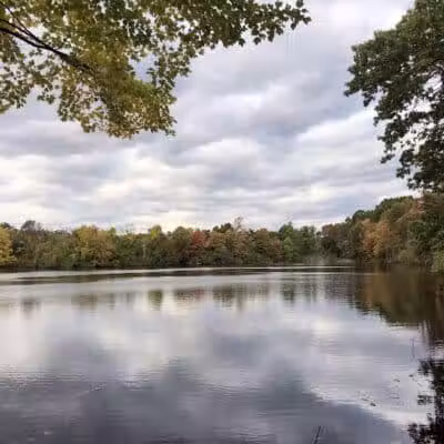Dunlap Woods (Darien Land Trust) - Darien, CT