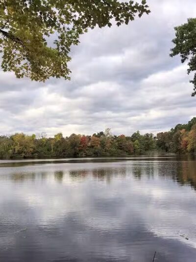 Dunlap Woods (Darien Land Trust) - Darien, CT