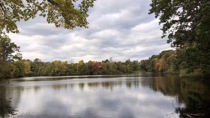 Dunlap Woods (Darien Land Trust) - Darien, CT