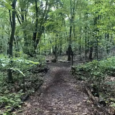 Dunlap Woods (Darien Land Trust) - Darien, CT