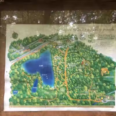 Dunlap Woods (Darien Land Trust) - Darien, CT