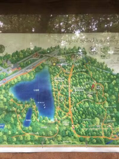 Dunlap Woods (Darien Land Trust) - Darien, CT