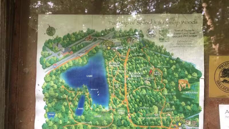 Dunlap Woods (Darien Land Trust) - Darien, CT