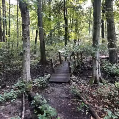 Dunlap Woods (Darien Land Trust) - Darien, CT