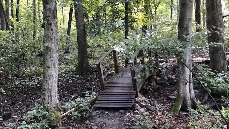 Dunlap Woods (Darien Land Trust) - Darien, CT