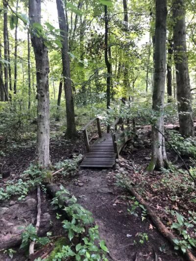 Dunlap Woods (Darien Land Trust) - Darien, CT