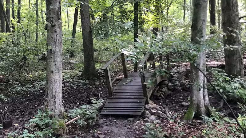 Dunlap Woods (Darien Land Trust) - Darien, CT