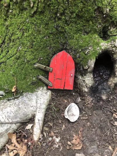 Dunlap Woods (Darien Land Trust) - Darien, CT