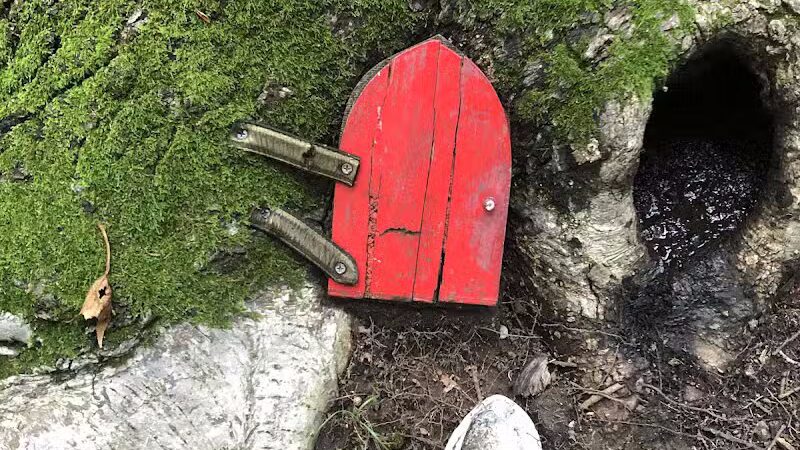 Dunlap Woods (Darien Land Trust) - Darien, CT