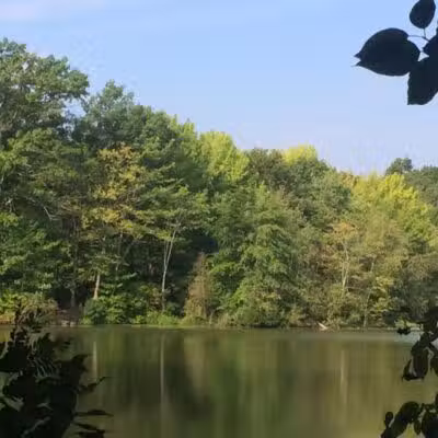 Dunlap Woods (Darien Land Trust) - Darien, CT