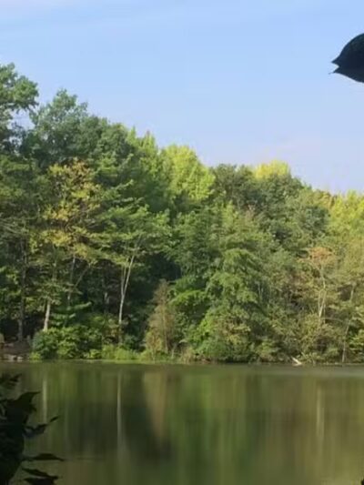 Dunlap Woods (Darien Land Trust) - Darien, CT