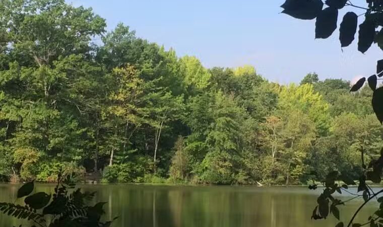 Dunlap Woods (Darien Land Trust) - Darien, CT