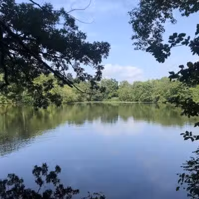 Dunlap Woods (Darien Land Trust) - Darien, CT