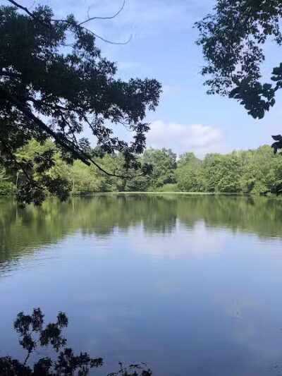 Dunlap Woods (Darien Land Trust) - Darien, CT