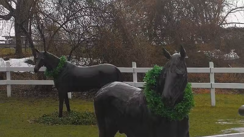 Highland Farm/ Caballos - Darien, CT